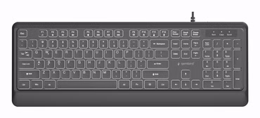 Gembird KB-UML-04 Schlanke kabelgebundene Tastatur mit Hintergrundbeleuchtung schwarz US-Layout