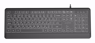 Gembird KB-UML-04-CYRL Schlanke kabelgebundene Tastatur mit Hintergrundbeleuchtung schwarz Kyrillisches Layout