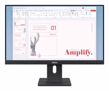 Lenovo ThinkVision E24-40 - LED-Monitor - 61 cm (24")