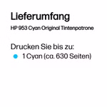 p15146-3-dbeb6b6bfa.jpg
