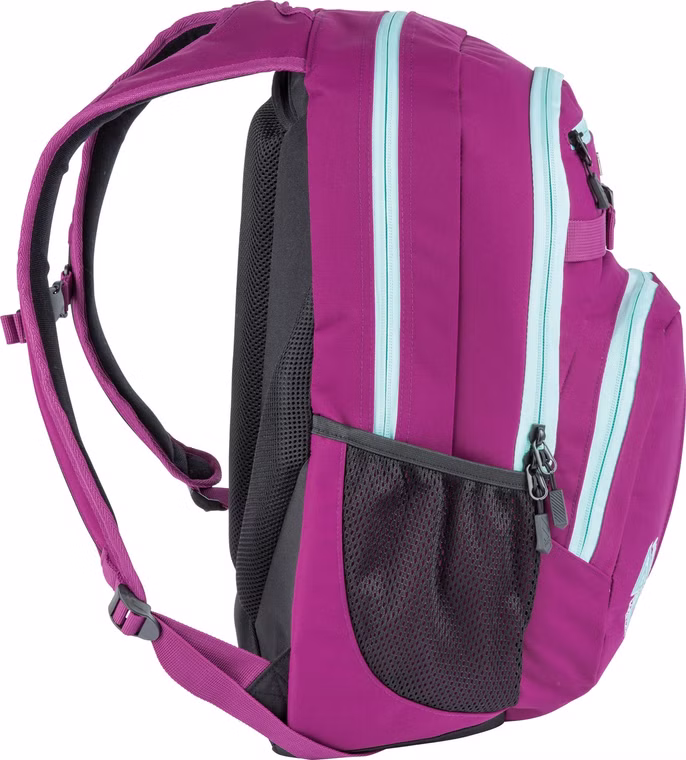 Chase Grateful Pink Rucksack Nitro