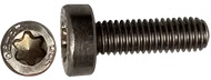 Starboard Screw M5X13 Torx Schraube Starboard 2024