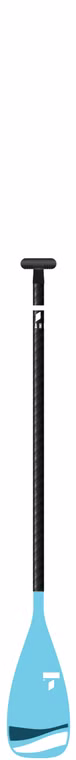 Breeze FP 2Teilig SUP Paddel Tahe 2021 2teilig (passt nicht in die Tasche)