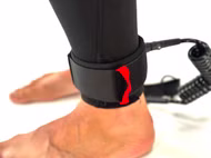 Ankle Leash V2 FBC 2025 5.5