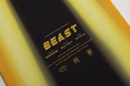 Beast Snowboard Nitro 2025 158