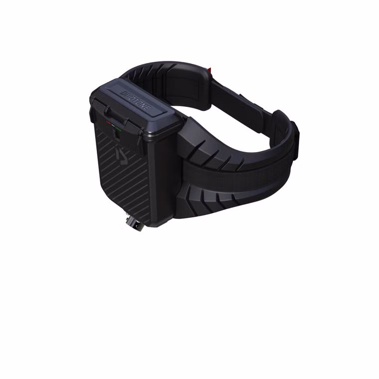 eHarness Set Duotone 2025 S-M