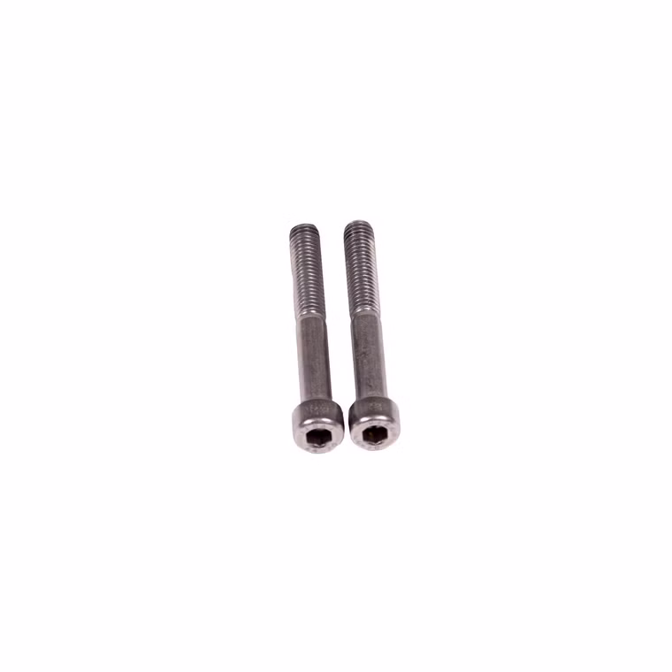 Flow Foil Tuttle Box Adapter Screw Set (2pcs) Schrauben Fanatic 2020