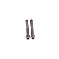 Fanatic Flow Foil Tuttle Box Adapter Screw Set (2pcs) Schrauben Fanatic 2020