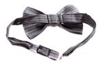 81tqfiLgB5L.jpg