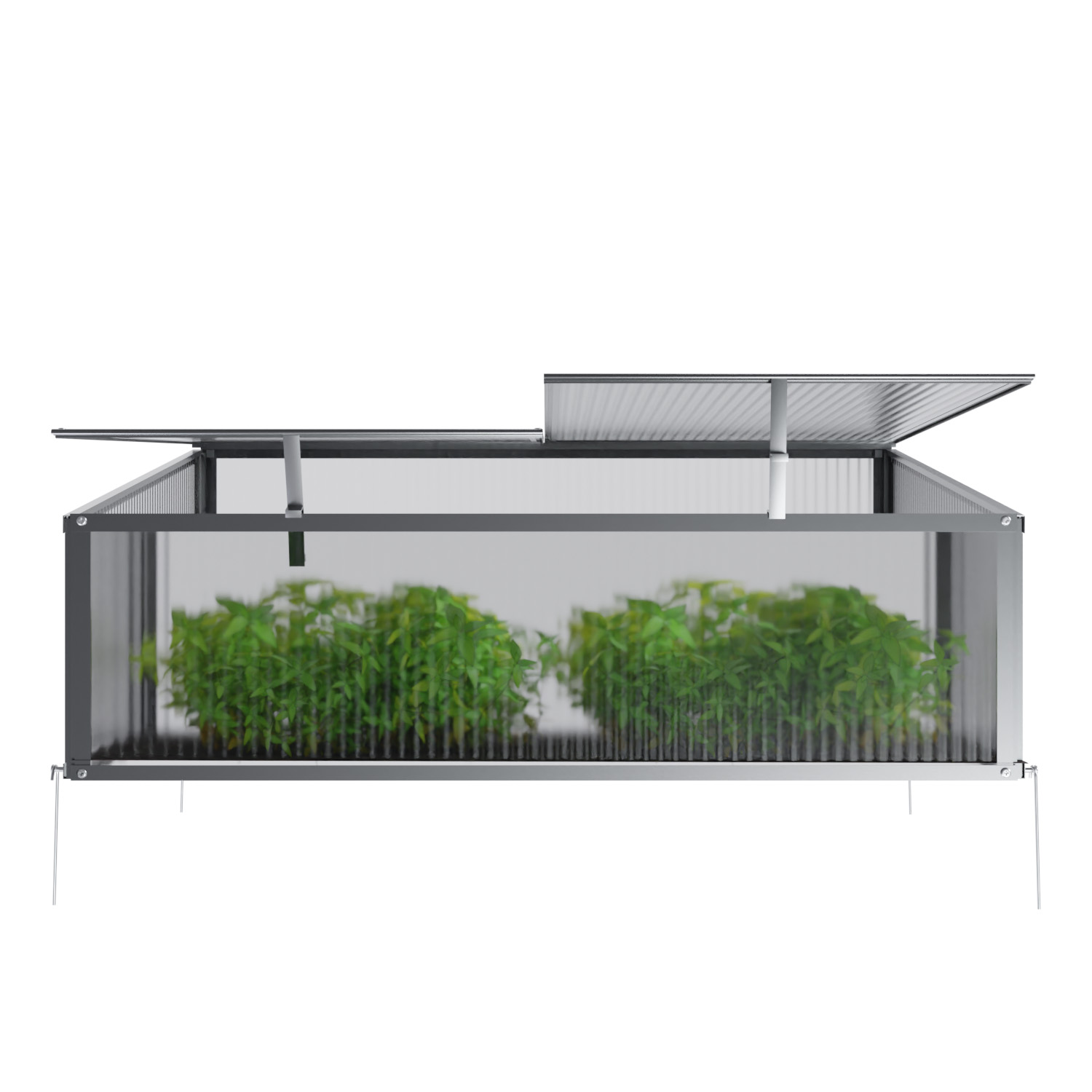 GARMIO Frühbeet Mini Gewächshaus Allium mit Dachfenster, UV-Schutz