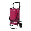 24MOVE® Trolley VEHLO Einkaufstrolley klappbar rot