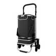 24MOVE® Trolley ALEGRE Einkaufstrolley klappbar schwarz
