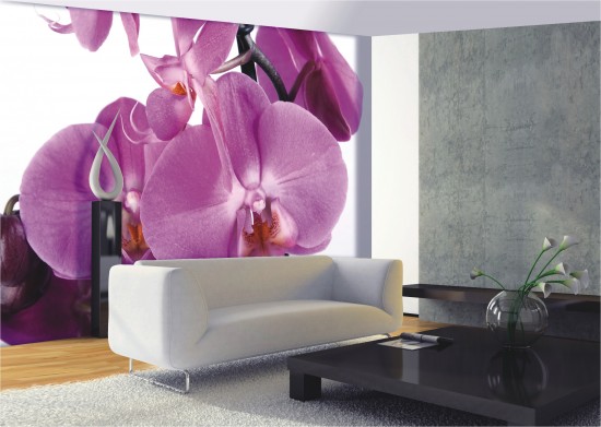 Wall mural wallpaper orchid flower 360 cm x 254 cm