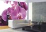 Wall mural wallpaper orchid flower 360 cm x 254 cm 1