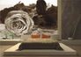Wall mural wallpaper rose flower photo 360cmx254cm 2
