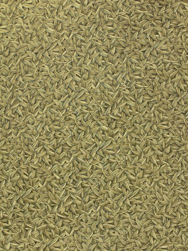Wallpaper Harald Glööckler leaves feather gold Metallic 52504
