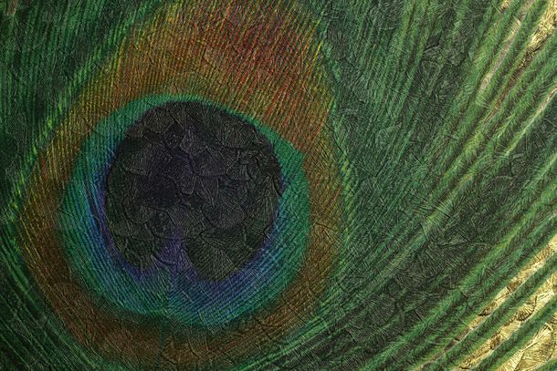 Harald Glööckler wallpaper panel gold green peacock 52726 