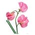 Wall tattoo sticker decoration floral flower rose flowers 1