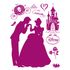 Flock wall tattoo sticker decoration Disney Cinderella 1