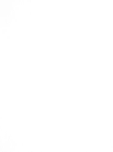 wallpaper non-woven uni white Everybody Bonjour 137020