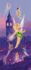 Door wallpaper mural wallpaper Disney Tinkerbell 90cmx202cm 1