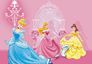 XXL Wall mural wallpaper Disney Princess pink 160 x 115 cm 1