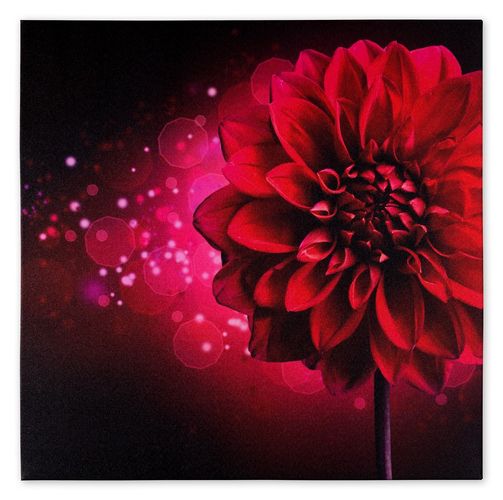 Picture Canvas flowers pink Floral futuristic 60x60 cm