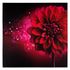 Picture Canvas flowers pink Floral futuristic 60x60 cm 1