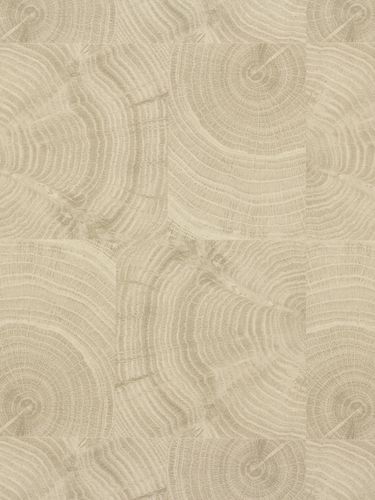 Rasch non-woven wallpaper 438857 wood look cream grey