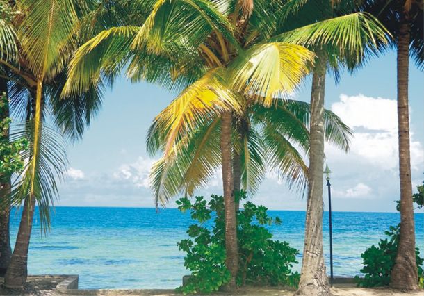 Wall mural wallpaper paradies island palms 360 cm x 270 cm