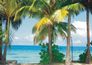 Wall mural wallpaper paradies island palms 360 cm x 270 cm 1