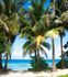 Wall mural palms island beach sea photo 180 x 202 cm 1