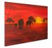 Canvas print Picture 60x90 sahara desert camals sand 1