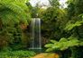 Wall mural jungle downfall poster 127 cm x 180 cm 1