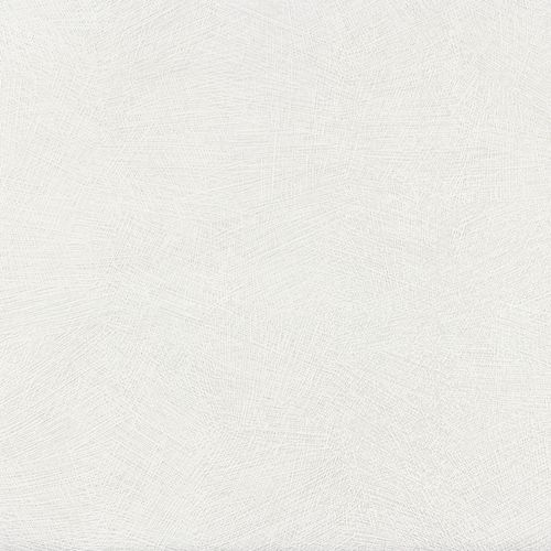 ps non-woven wallpaper Homeline 13004-10 plain white
