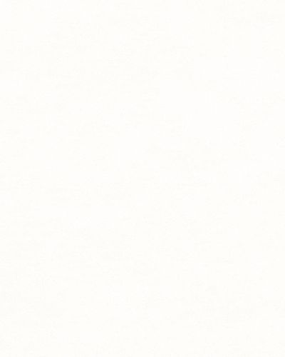 Non-Woven Wallpaper concrete texture plain white 55345