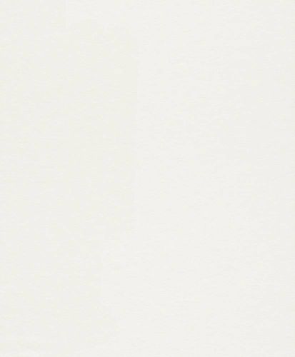 Article picture Wallpaper Rasch Wallton Podium plaster texture paintable 103809