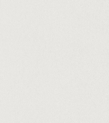 Wallpaper paintable filigree texture Rasch Wallton 144000