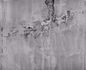 Mural stone grey 260x318 cm Rasch 439908 1