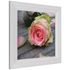 Set of 3 pictures framed art print white rose greyblue 4