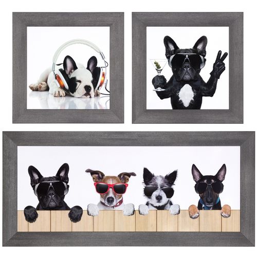 Set 3 pictures framed art print dogs cool white beige black 