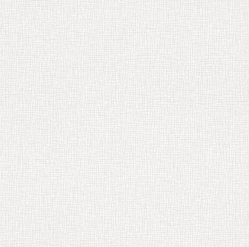 Non-woven wallpaper texture white metallic Rasch 440805