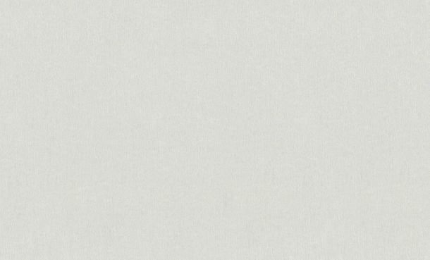 Wallpaper paintable structure white Meistervlies 9656-15