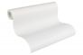 Wallpaper paintable structure white Meistervlies 3058-17 2