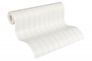 Wallpaper paintable stripes white Meistervlies 2435-15 2