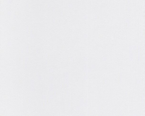 Wallpaper paintable white 2483-12 Meistervlies GO Protect