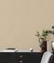 room image Versace Home 2 wallpaper plain cream 96233-2 5