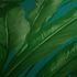 Wallpaper Versace nature turquoise green 96240-6 6