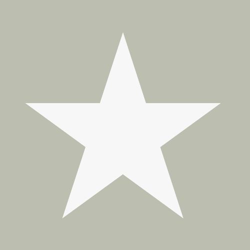 wallpaper non-woven stars grey white 128702