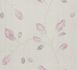 Wallpaper purple nature Naturalia Rasch 443011 1
